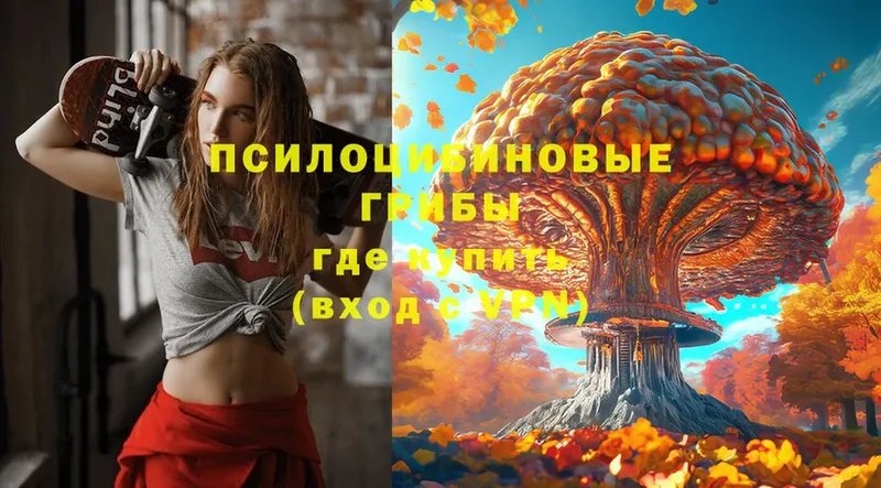 Галлюциногенные грибы Psilocybe  как найти   Тобольск 